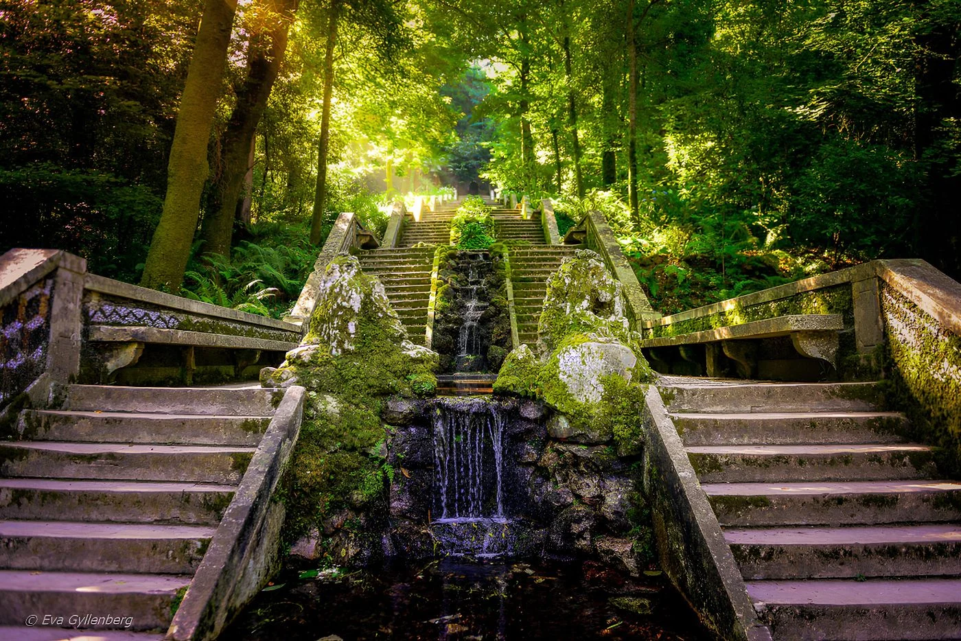 A mossy stone staircase and fountain in the Buçaco forest